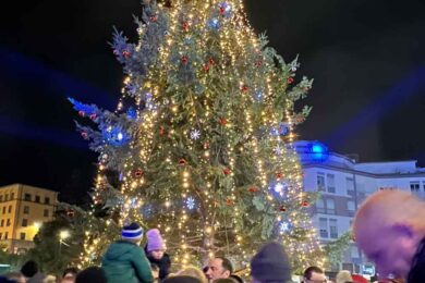 albero-natale