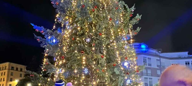 albero-natale