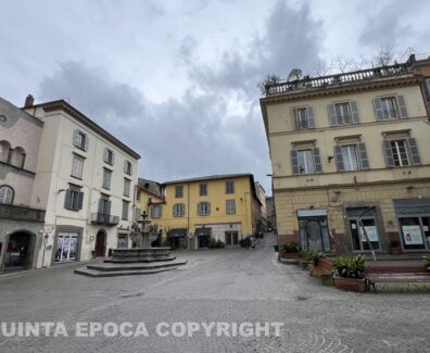 PIazza-erbe