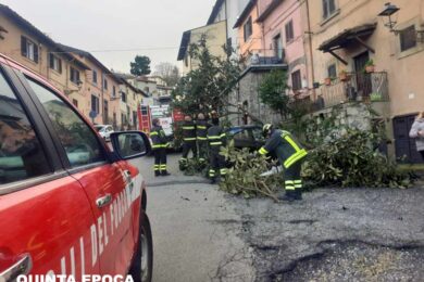 VIGILI-FUOCO