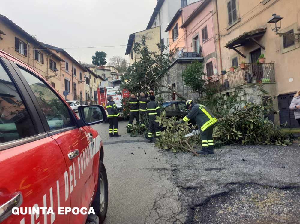 San Martino, via Cadorna, albero cade sopra una macchina.