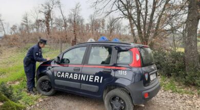 carabinieri-forestali
