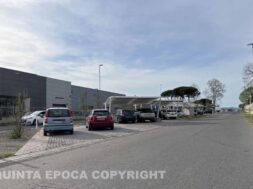 POGGINO3
