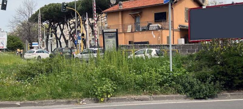 erba-alta-gramsci