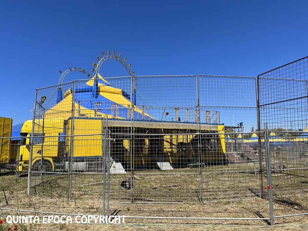 Allestito il circo con gli animali nel pieno del bomba day. Le distanze ci sono?