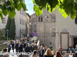 SAN-PELLEGRINO-IN-FIORE2024-3