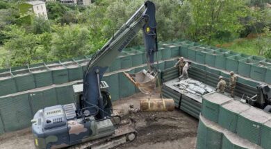 disinnesco-bomba-lady-rose