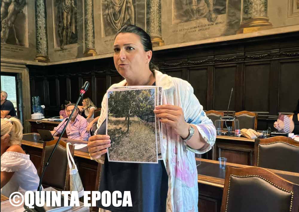 Erba alta, la sede del comando dei vigili urbani ridotta a Jurassic Park.