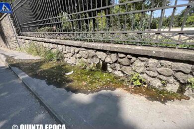 perdita-acqua-prato-giardino