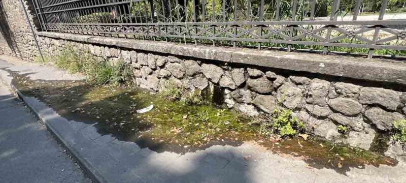 perdita-acqua-prato-giardino
