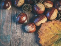 castagne