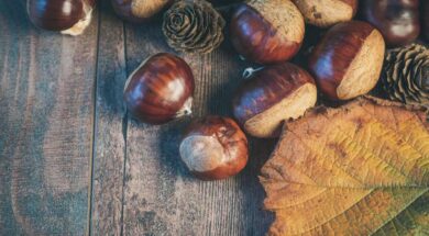 castagne