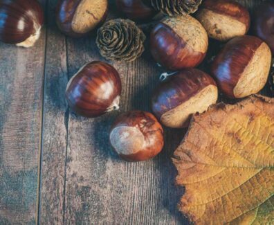 castagne