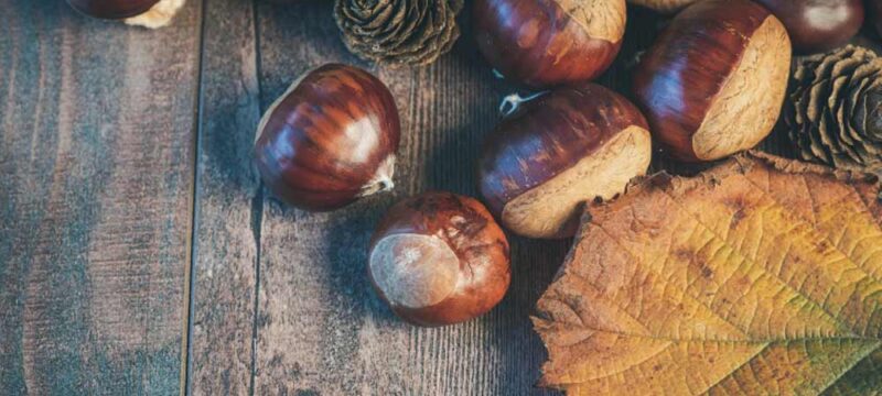 castagne