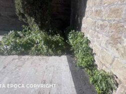 PASSEGGIATA-ECOLOGICA