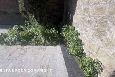 PASSEGGIATA-ECOLOGICA