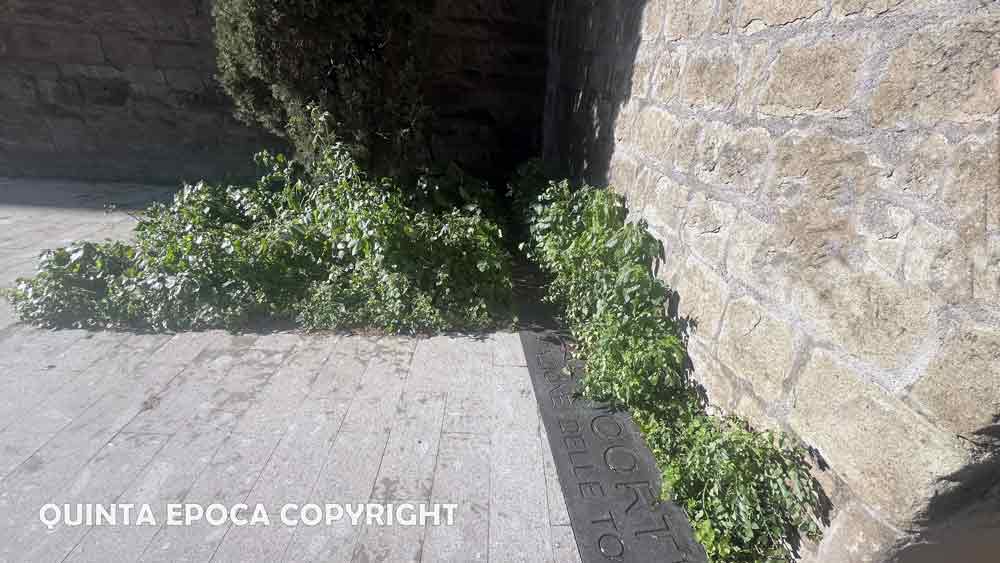 La Passeggiata ecologica finisce alle “ortiche”.