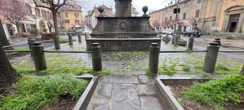 BAGNAIA-FONTANA-VIGNOLA