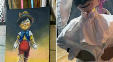 PINOCCHIO3
