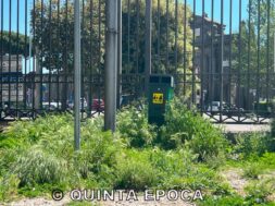 PRATO-GIARDINO1