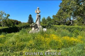 PRATO-GIARDINO2