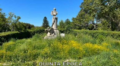 PRATO-GIARDINO2