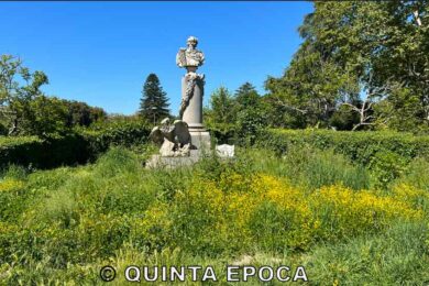 PRATO-GIARDINO2