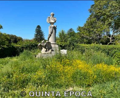 PRATO-GIARDINO2