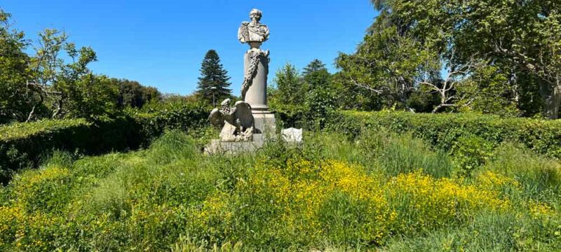 PRATO-GIARDINO2