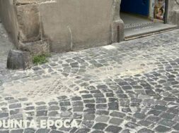 VIA-VERITA-2