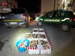 carabinieri-forestali