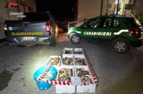 carabinieri-forestali