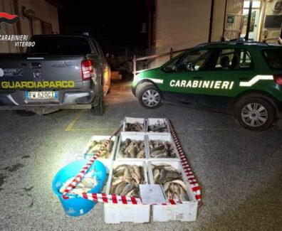 carabinieri-forestali