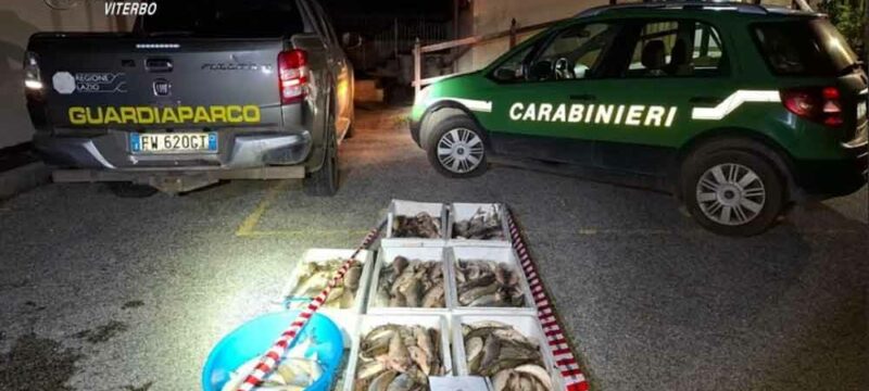 carabinieri-forestali
