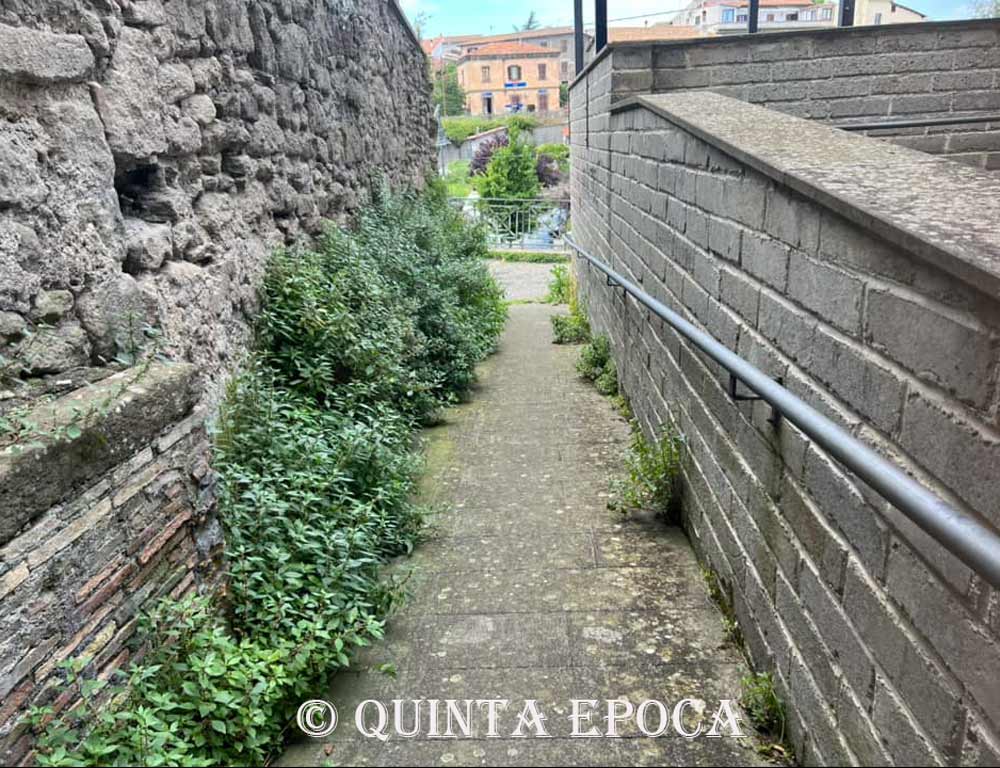 Annunciano il PEBA, ma lasciano che l’erba invada la rampa per disabili.
