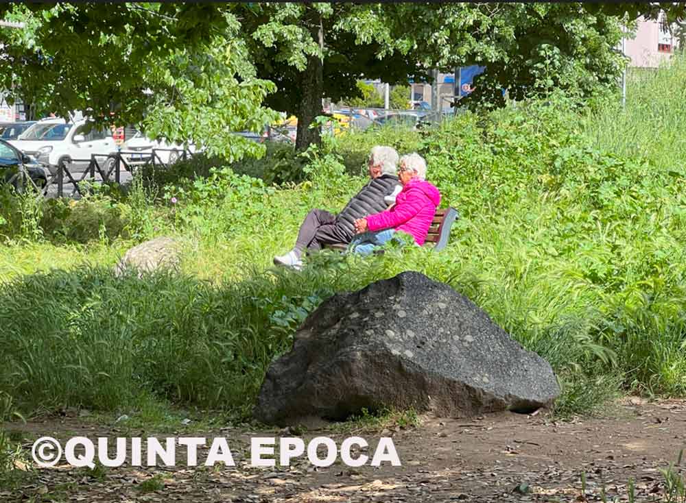 Aggiudicato l’appalto del verde: partirà a luglio.