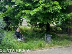 via-vicenza-erba-alta