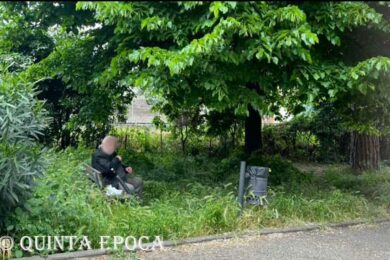 via-vicenza-erba-alta