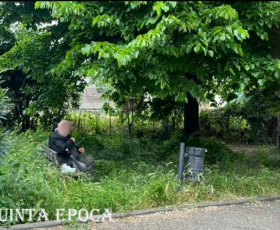 via-vicenza-erba-alta