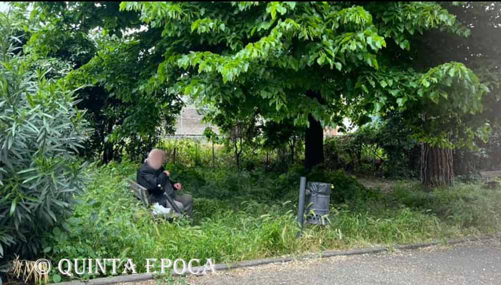 Lega: “Frontini primo sindaco di Viterbo a chiedere alla Protezione civile di tagliare l’erba”.