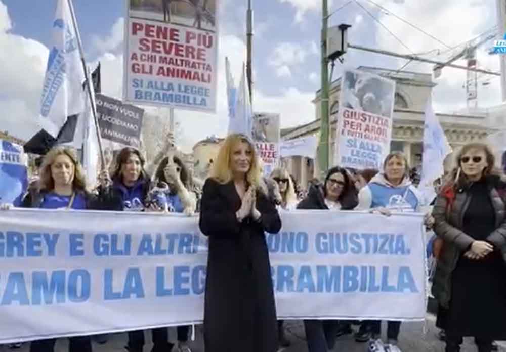 In vigore legge Brambilla: arresto e multe per maltrattamento animali.