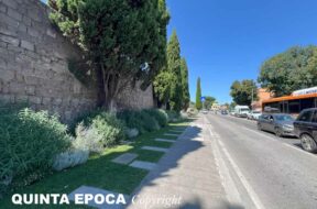 GRAMSCI-PASSEGGIATA-ECOLOGICA-MURA