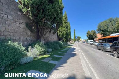 GRAMSCI-PASSEGGIATA-ECOLOGICA-MURA