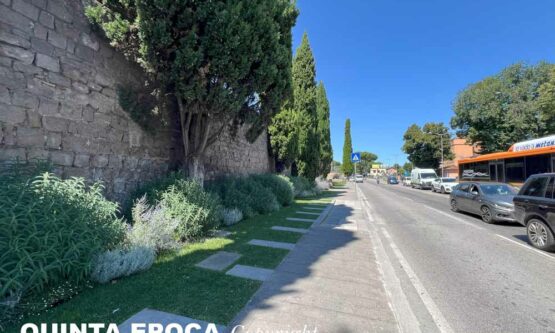 GRAMSCI-PASSEGGIATA-ECOLOGICA-MURA