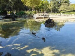 prato-giardino
