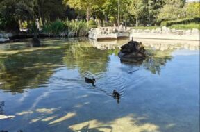 prato-giardino