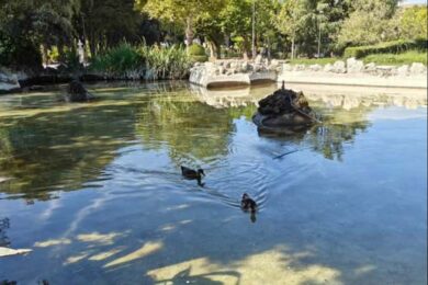 prato-giardino