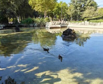 prato-giardino