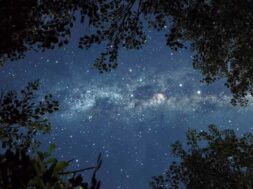 stelle-cadenti