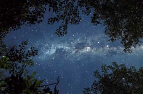 stelle-cadenti
